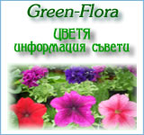 Green Flora